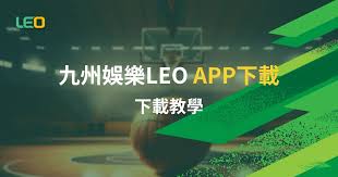 LEOAPP下載專業指南：安全快速的安裝步驟與使用技巧